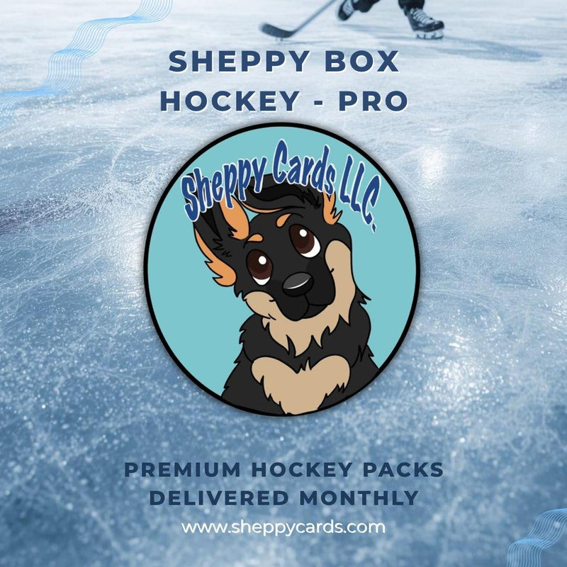 Sheppy Box Hockey Pro